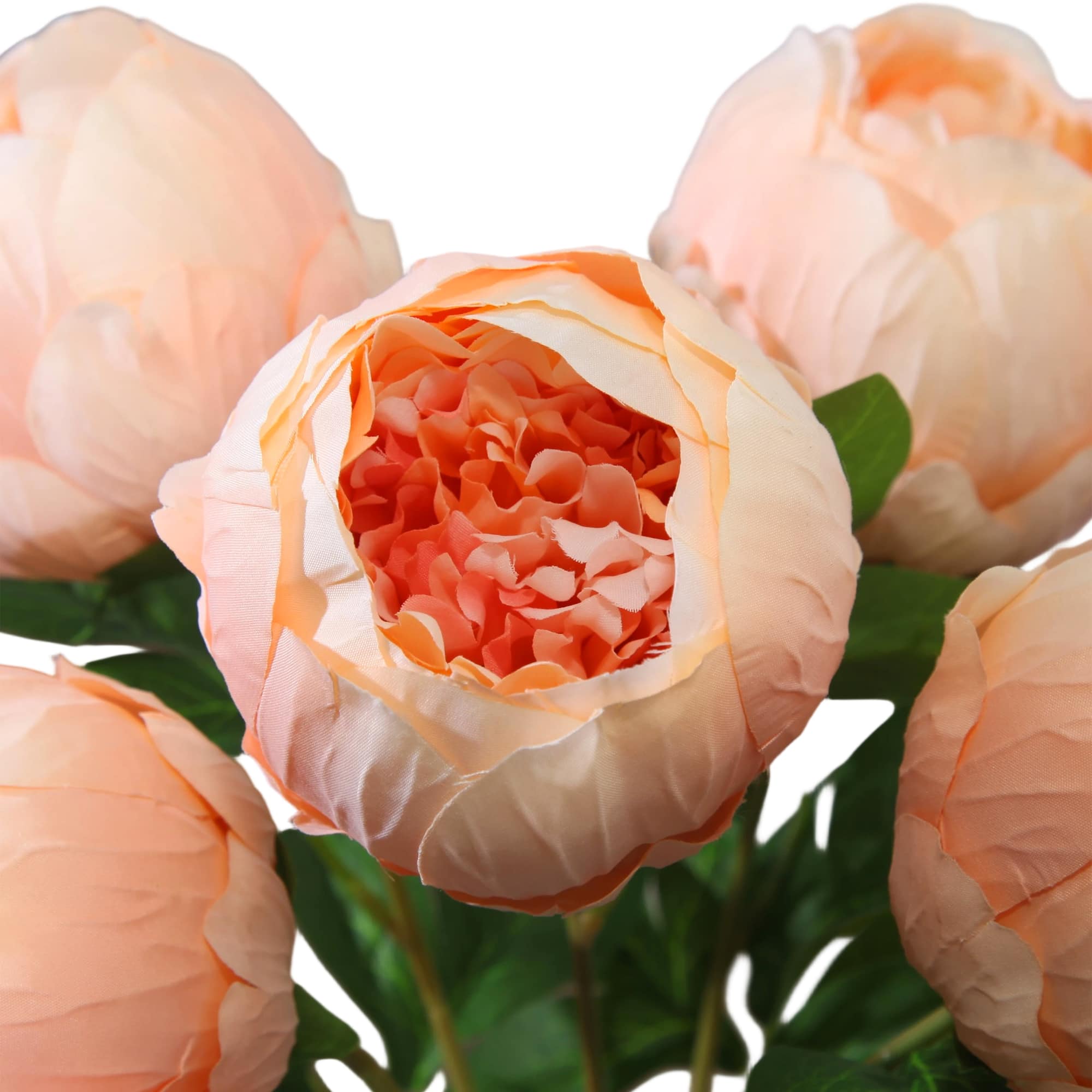 20" Peach Peony Deluxe Bush by Ashland®